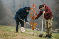 Dvadeset-sadnica-crvenog-hrasta-krasi-deo-Vlasine-udruženje-Sevap-planira-letnjikovac-i-novi-prostor-7