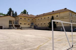 vlase (7)