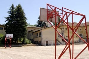 vlase (8)